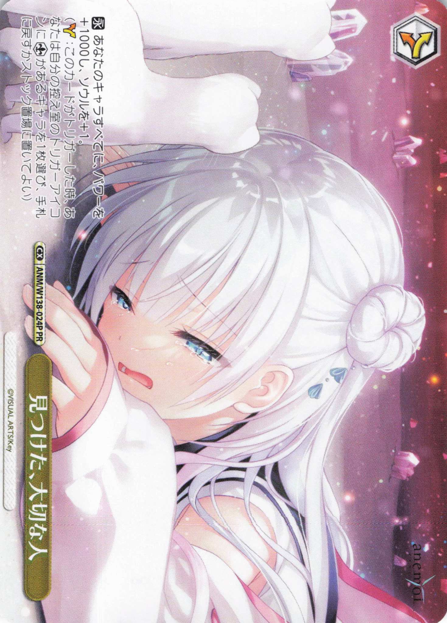 見つけた、大切な人(PR)(ANM/W138-024P)